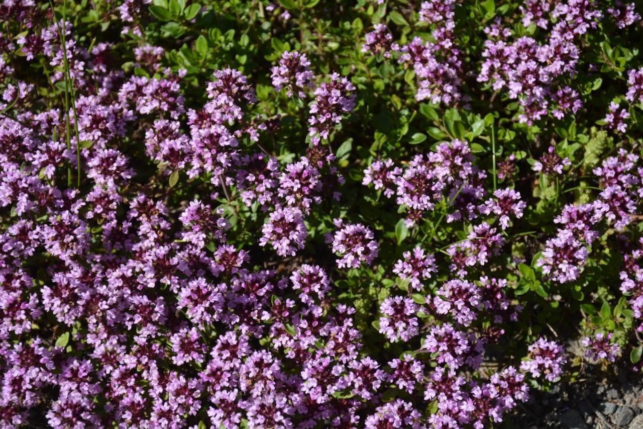 Ferienhaus Kristina/Hebalm ดอยช์แลนด์แบร์ก ภายนอก รูปภาพ