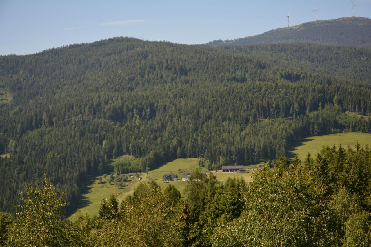 Ferienhaus Kristina/Hebalm ดอยช์แลนด์แบร์ก ภายนอก รูปภาพ